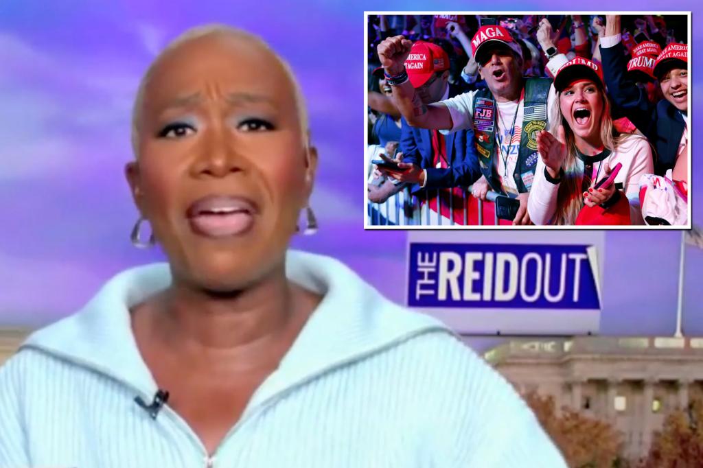 MSNBC's Joy Reid Has an Irrevocable Anti-Republican Joke Ahead of Thanksgiving: 'Make Your Dinner, MAGA'